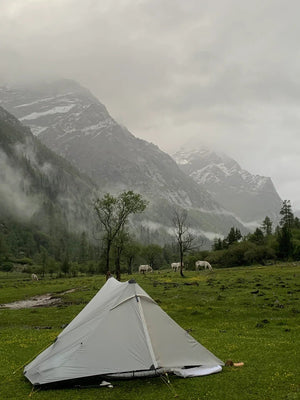 Lanshan 2 Pro Ultralight Backpacking Tent - 我的商店