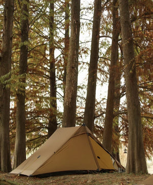 Lanshan 2 Pro Ultralight Backpacking Tent - 我的商店