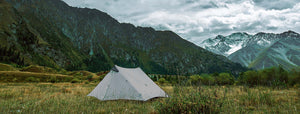 Lanshan 2 Person Ultralight Backpacking Tent - 我的商店