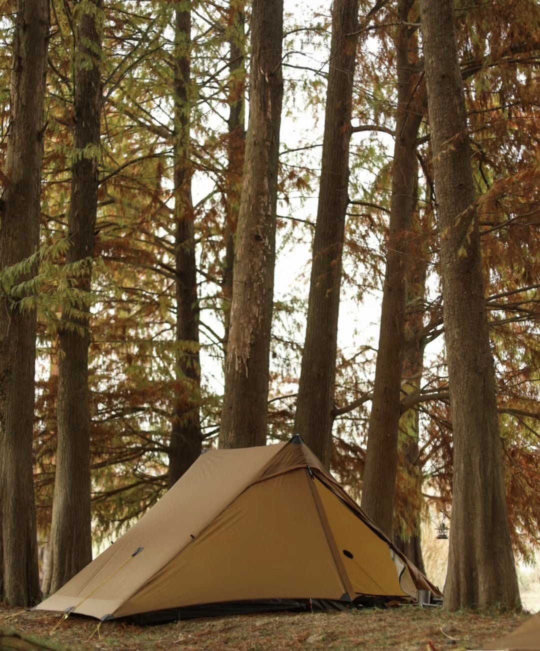 Lanshan 2 Pro Ultralight Backpacking Tent - 我的商店