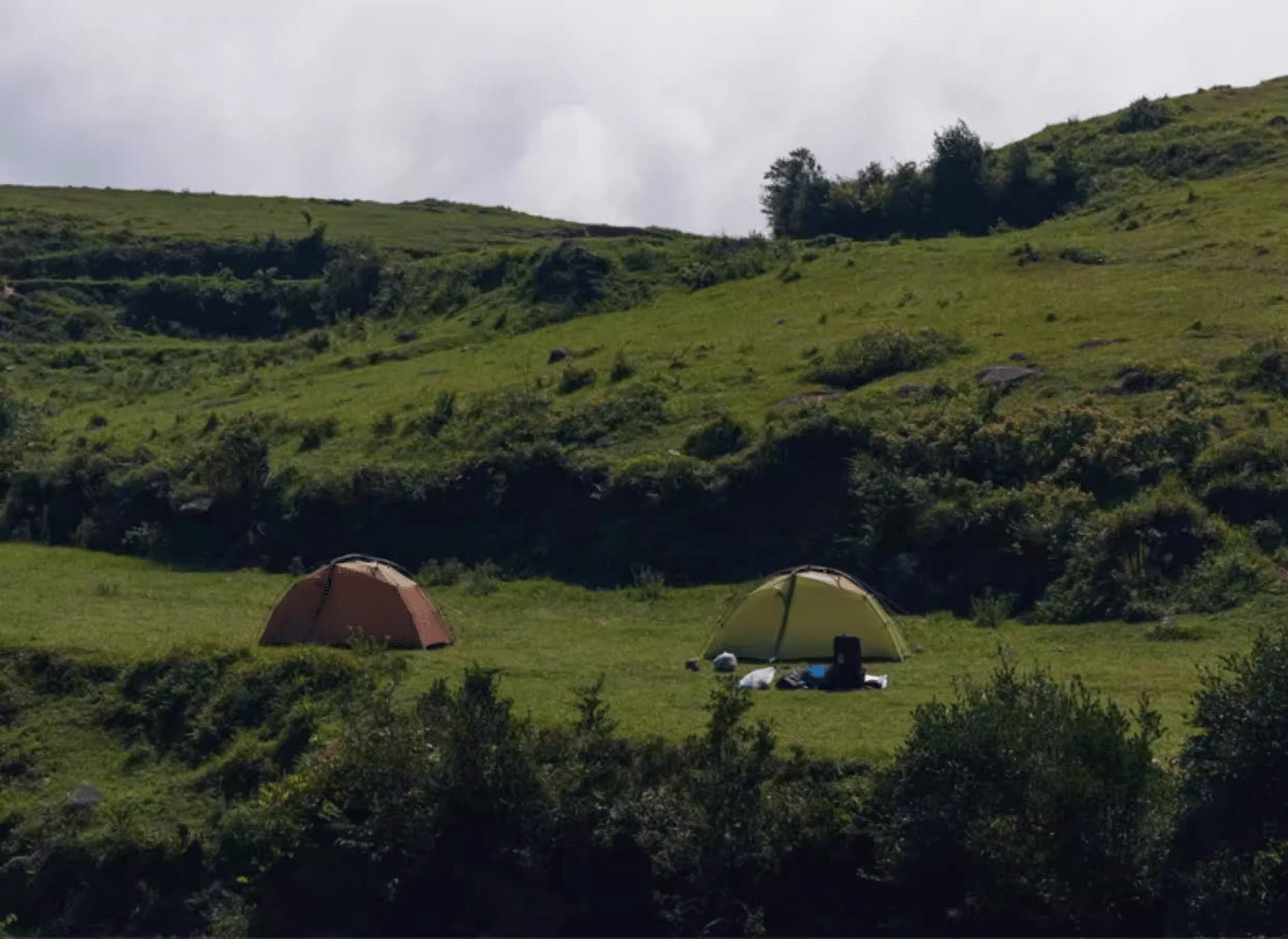 Taiji 1 Freestanding Tent - 我的商店