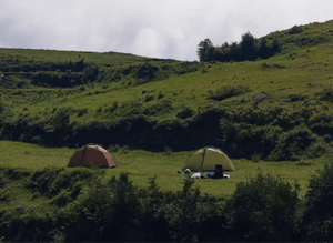 Taiji 1 Freestanding Tent - 我的商店